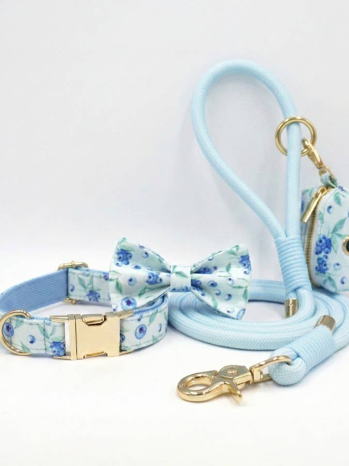 Morning Blueberry Dog Walking Set for wholesale by Darren & Phillip