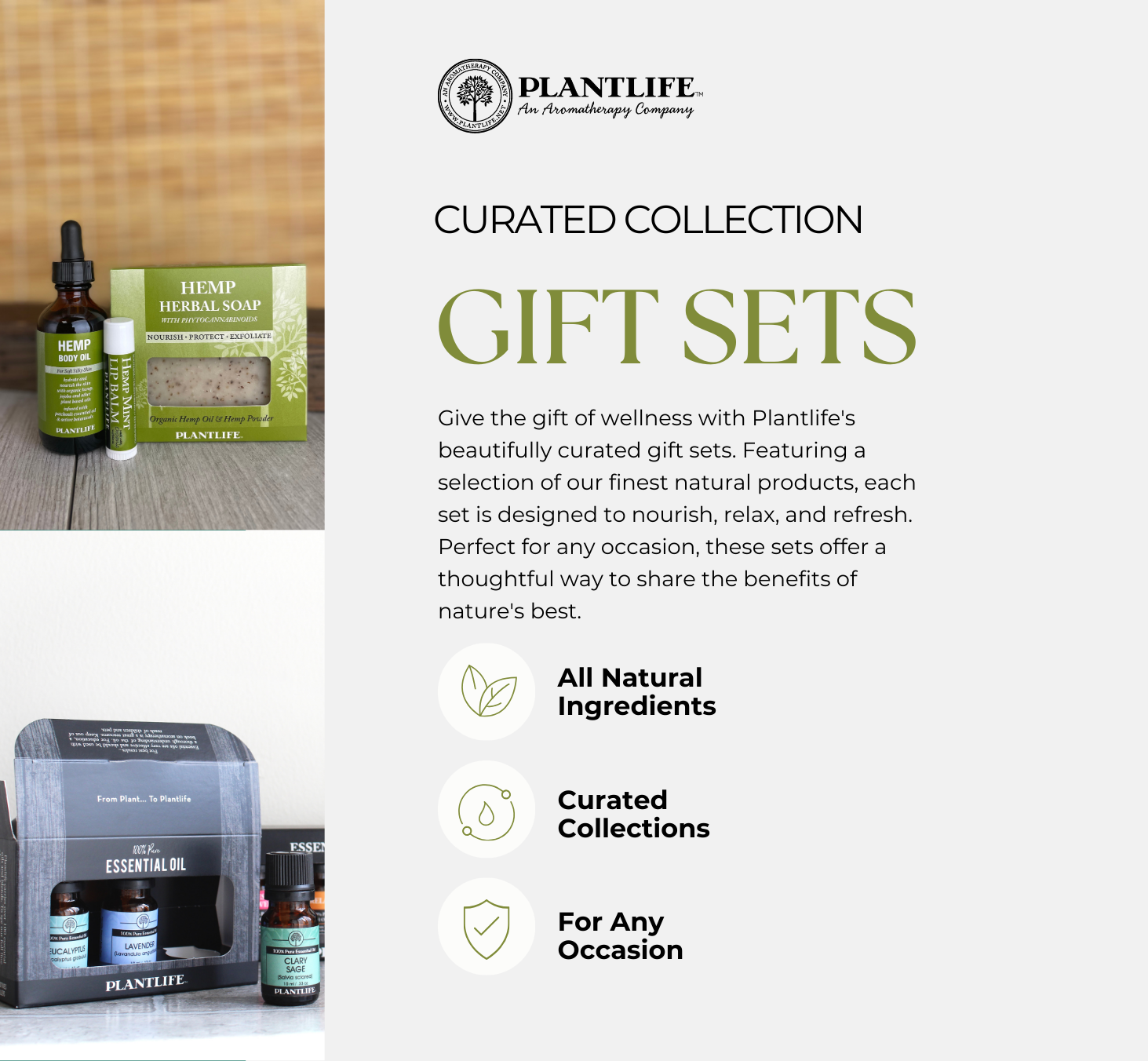 Plantlife - Wholesale Beard Styling Product - Men's Beard Grooming Kit4