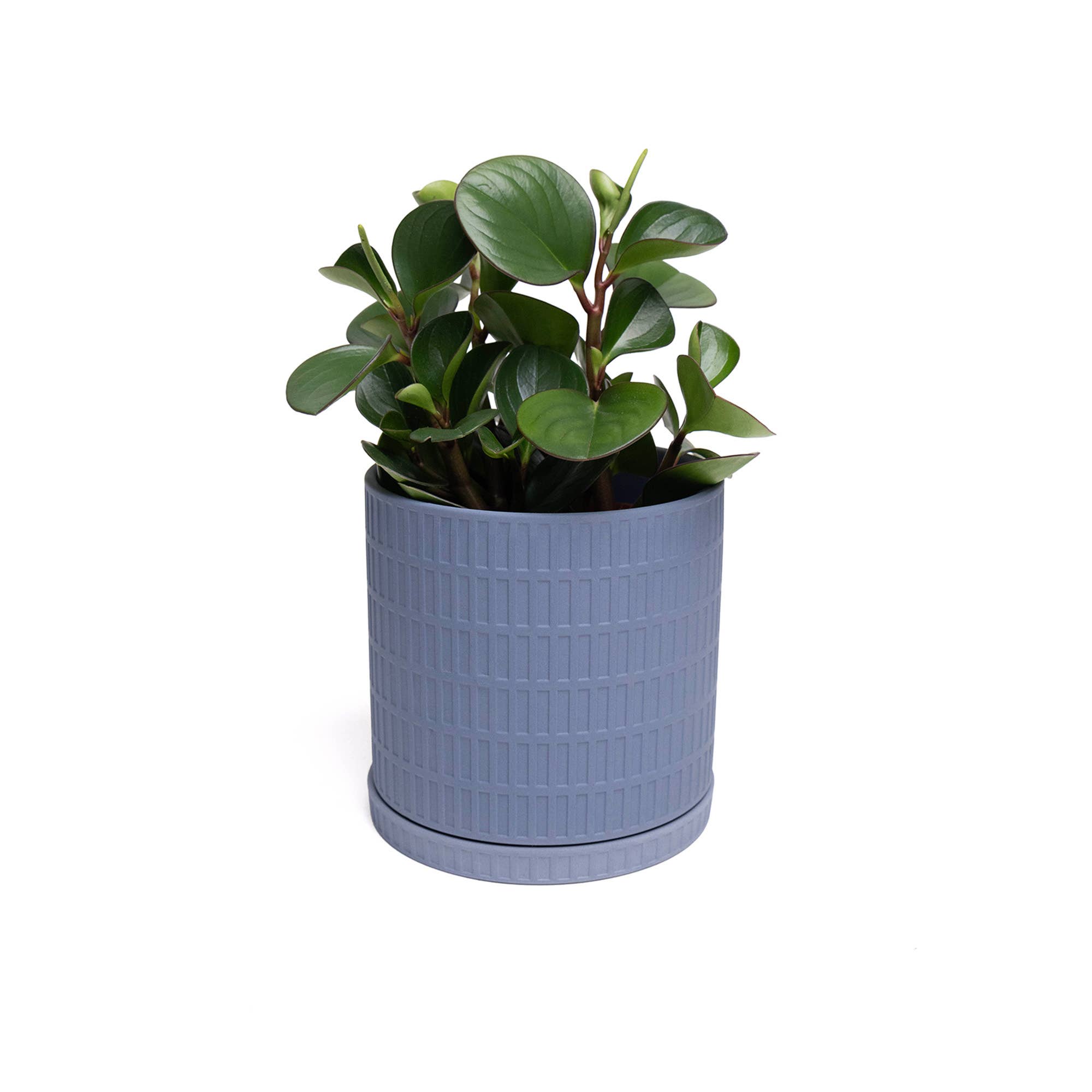 Chive - Wholesale Plant Pot - Handmade Ceramic Virago Pots | Artisan Plant Planters2