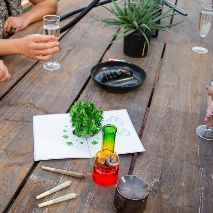 Dirty Pop Cards - Wholesale Everyday Greeting Card - Pot Plant Funny 3D Pop-Up Marijuana Stoner Greeting Card