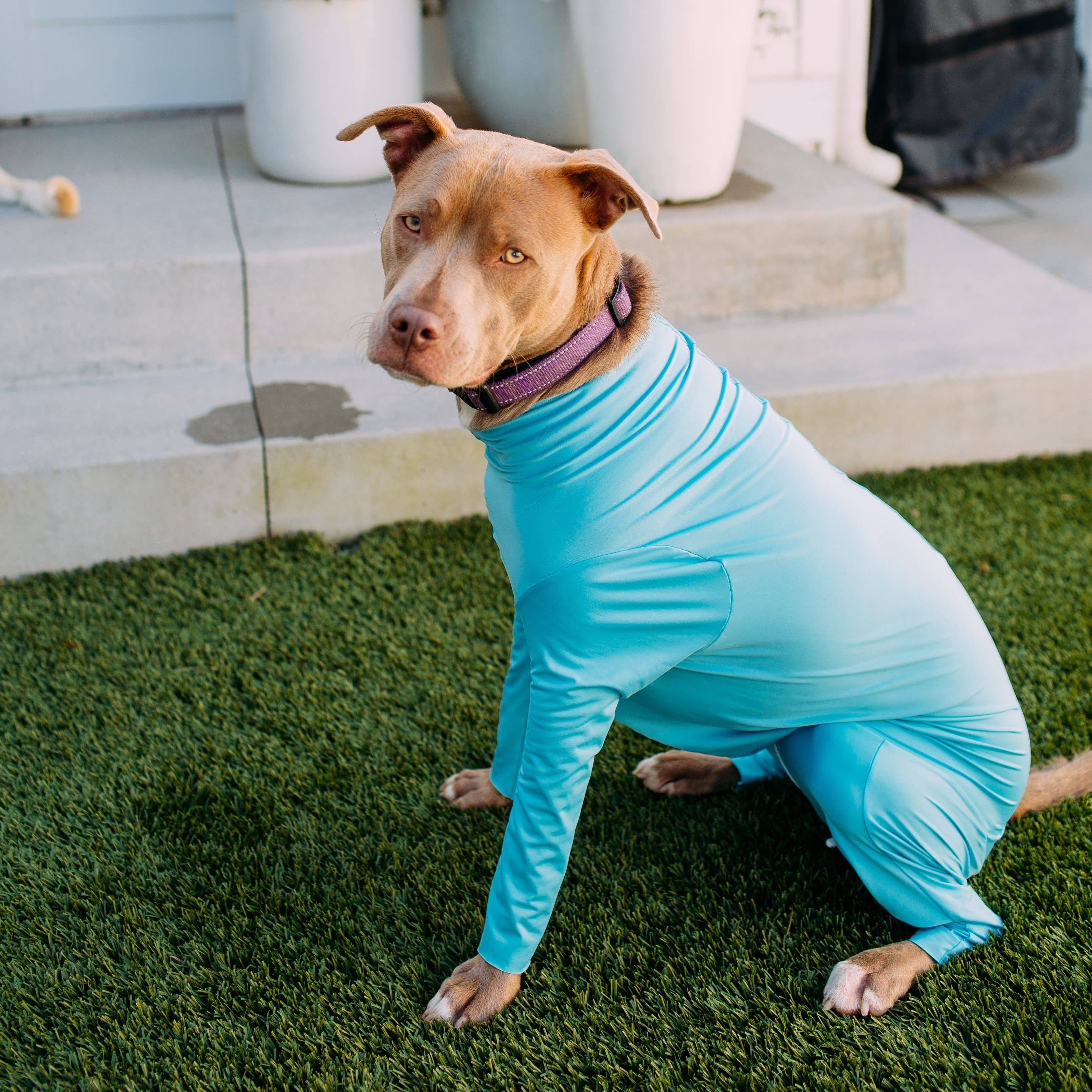 Shed Defender - Wholesale Pet Bodysuit - Cat/Dog - Shed Defender® Sport Dog Onesie - Shedding Bodysuit9