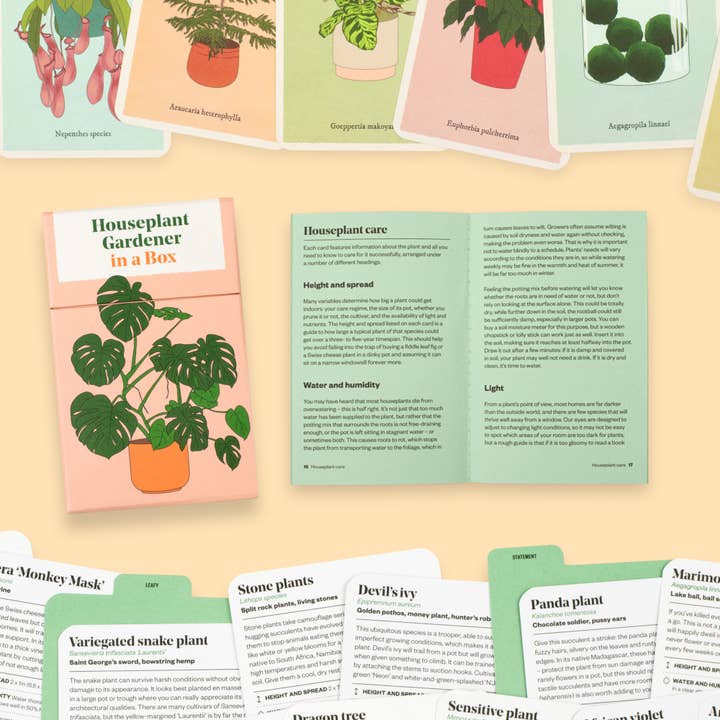 Abrams - Vente Maison et jardin - Jardinier pour plantes d'intérieur dans une boîte3