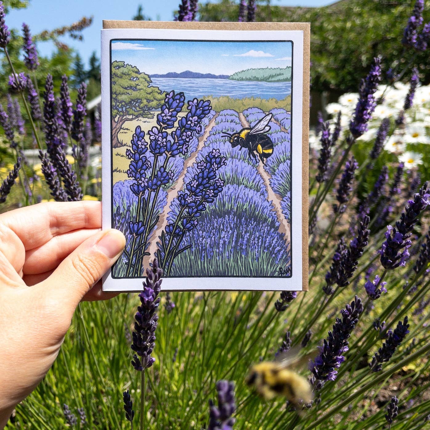 Laurel Mundy Illustration - Wholesale Everyday Greeting Card - Bumble Bee at Lavender Greeting Card 100% Recycled Paper1