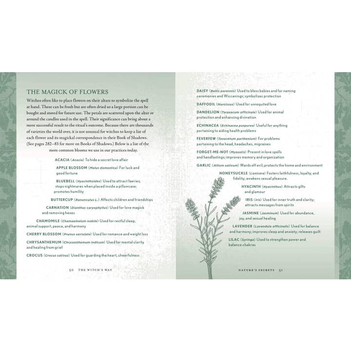 Hachette Book Group - Wholesale Body, Mind & Spirit Book - Witch's Way by Shawn Robbins7