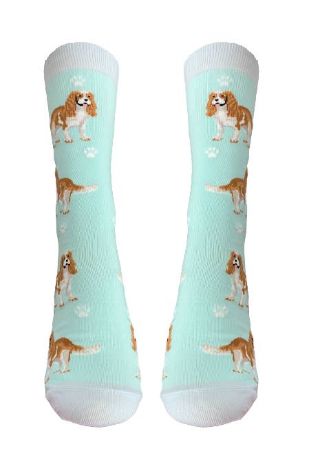 E&S Pets - Wholesale Socks - Unisex - King Charles Cavalier - Fun Novelty Dog Socks - Unisex2