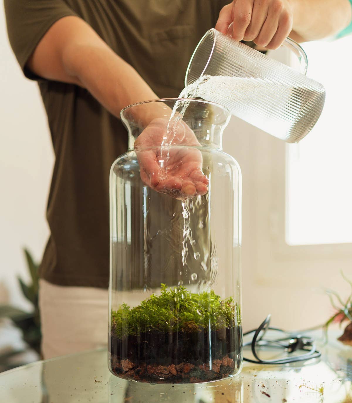 BOREEN Shop – Engroshandel Terrarium – Terrarium med luftplanter Tillandsia | Evig Have6