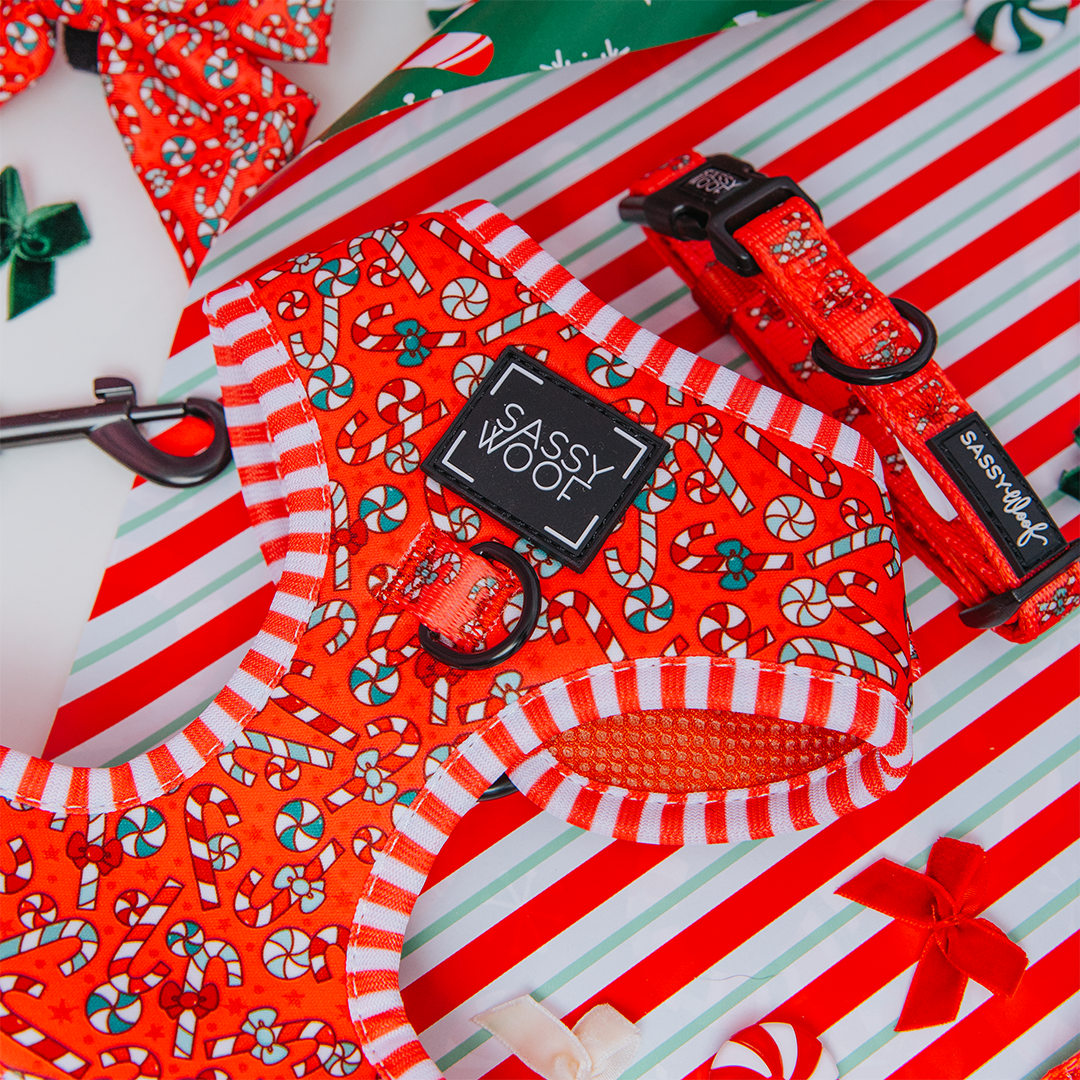 SASSY WOOF - Wholesale Pet Harness - Dog - Dog Adjustable Harness - Puppermint Twist4