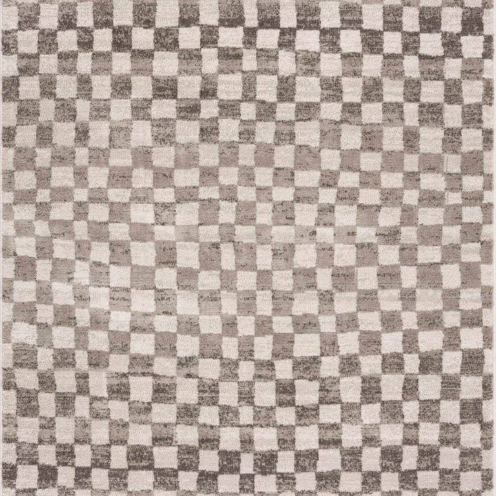 Hauteloom - Wholesale Area Rug - Benjy Beige Checkered Area Rug2
