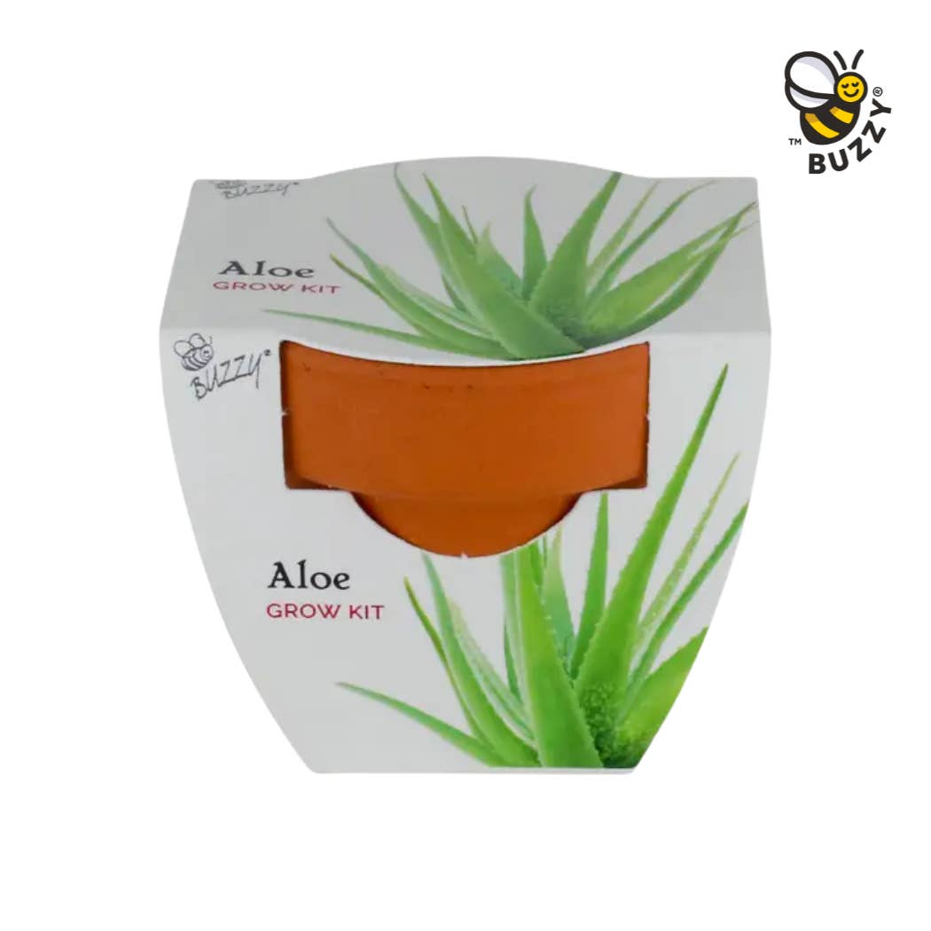 Buzzy Seeds Grow Gifts - Vente Graines de plantes - Pot de Croissance Miniature de Fêtes Aloe – Cadeau de Plante d'Intérieur