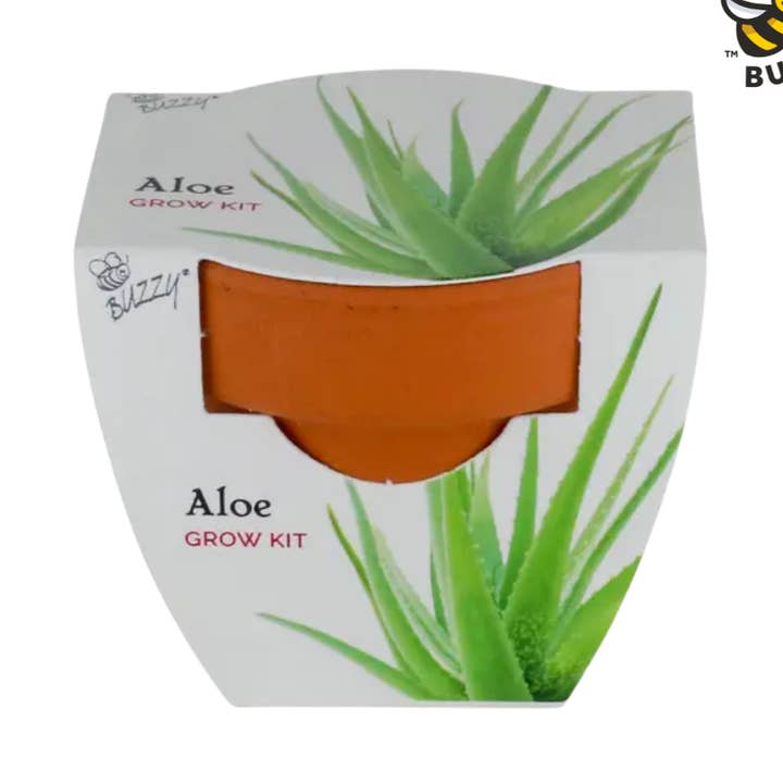 Holiday Mini Grow Pot Aloe – Indoor Plant Gift for wholesale by Buzzy Seeds Grow Gifts