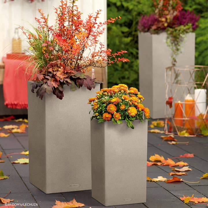 Lechuza Self Watering Planters - Vente Jardinière - LECHUZA CANTO Stone haut - grand pot de sol en résine poly haute qualité4