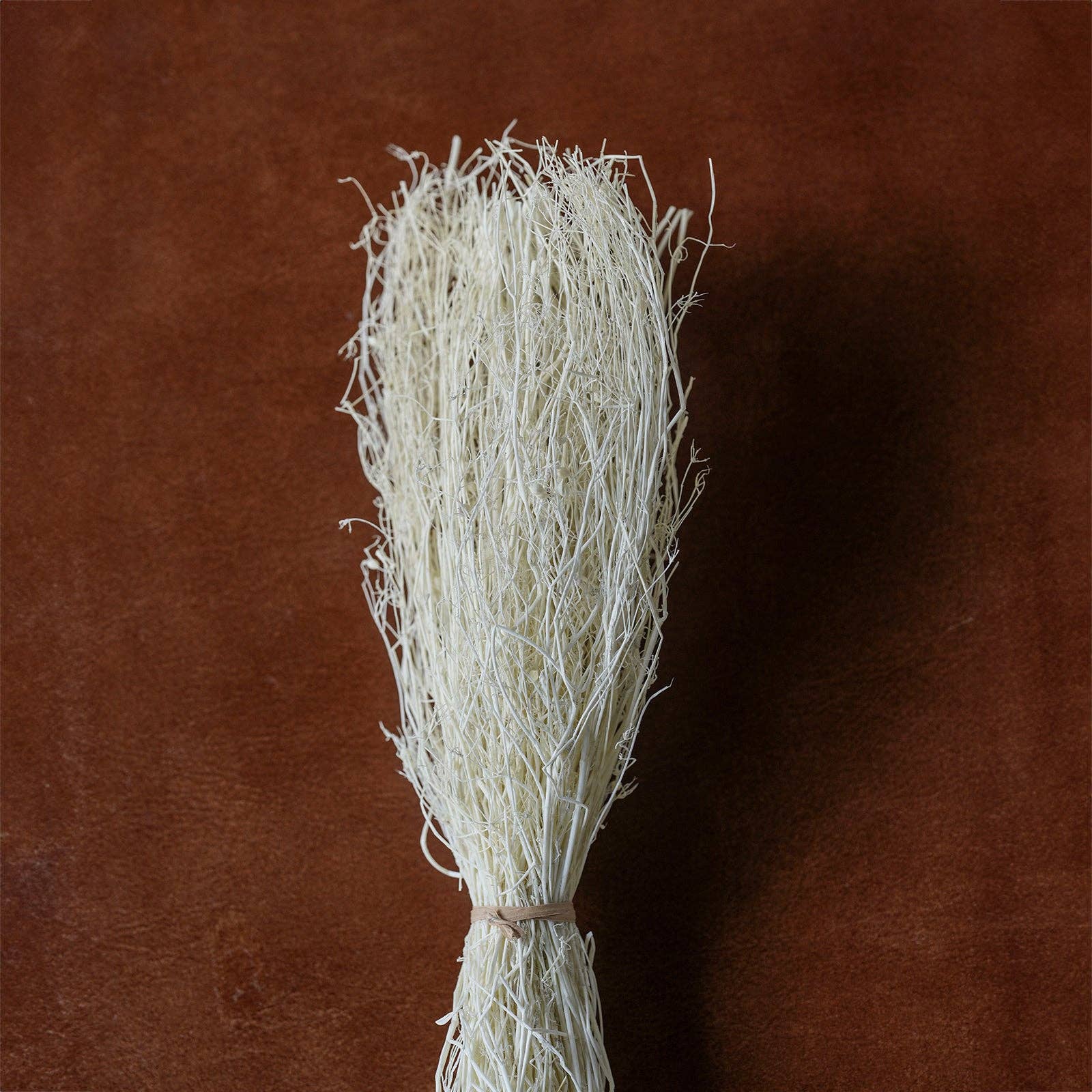 Blue Ocean Traders - Wholesale Dried/Pressed Flowers - Mixed Dried Grasses and Florals Bleached, 12"3