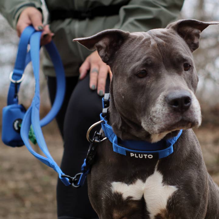 Heavy Duty Dog Leash for wholesale by Stuntin Goods