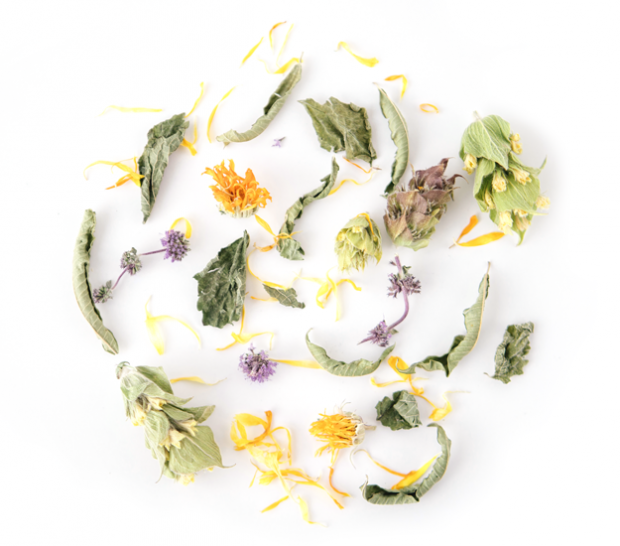 rhoeco - fine organic goods – Sacos de chá por atacado – Big Bags - 100 saquinhos de chá piramidais compostáveis em grande quantidade9