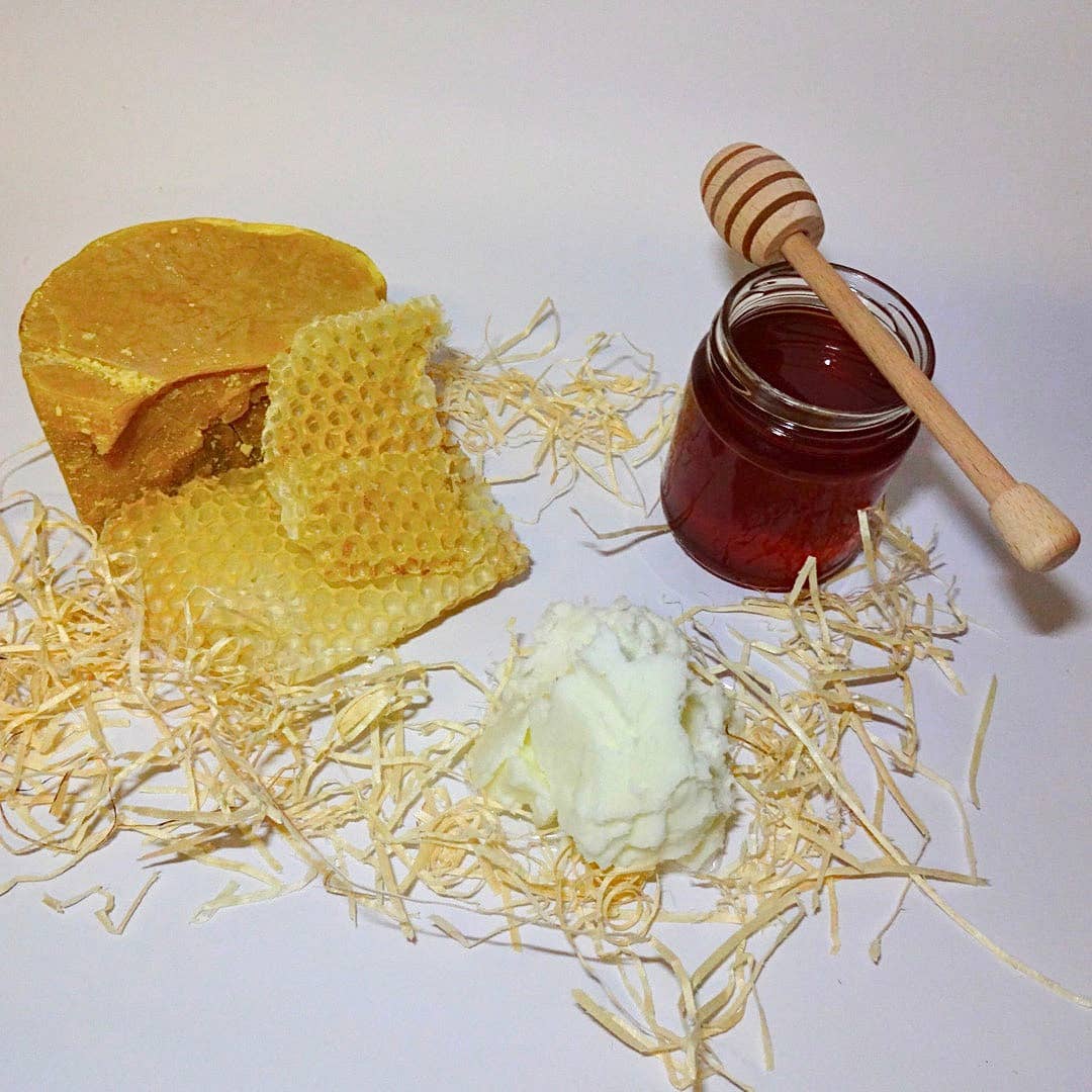 Biohive - Vendita all'ingrosso Burro di cacao - Balsamo labbra 100% Naturale con miele di castagno1