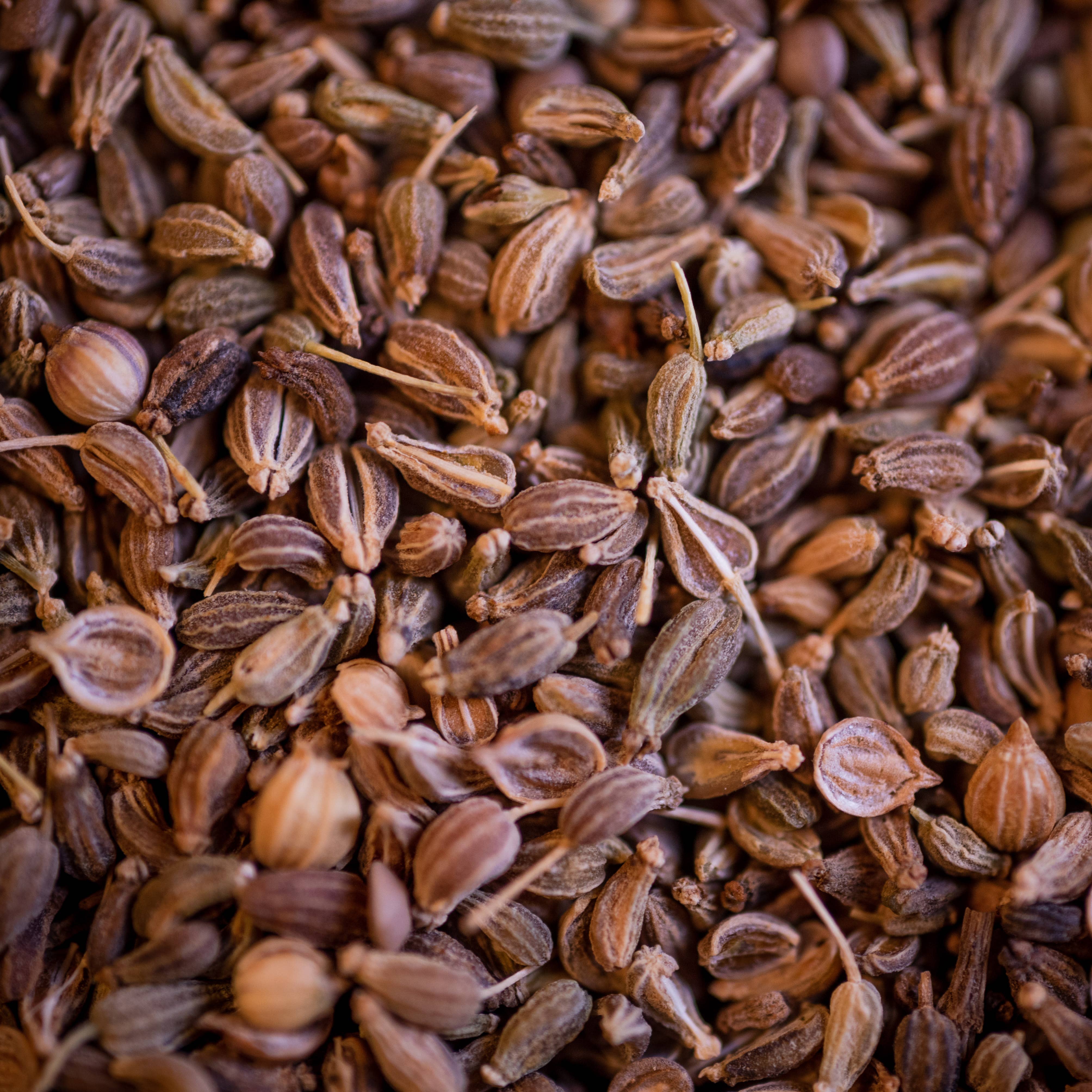 LE COMPTOIR D'HERBORISTERIE - Vendita all'ingrosso Tisane salutari e depurative - INFUSO DI SEMI DI ANICE BIOLOGICO 100G1