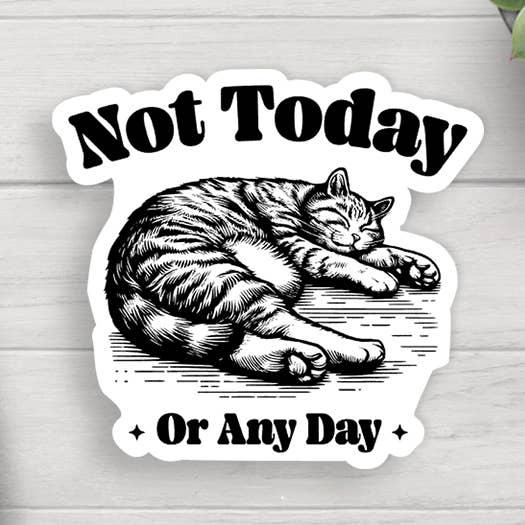 Cat Not Today Vinylklistermärke för wholesale av Expression Design Co