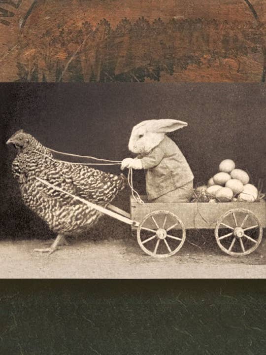 Special Delivery for wholesale by Irreverent Cards for Challenging Times