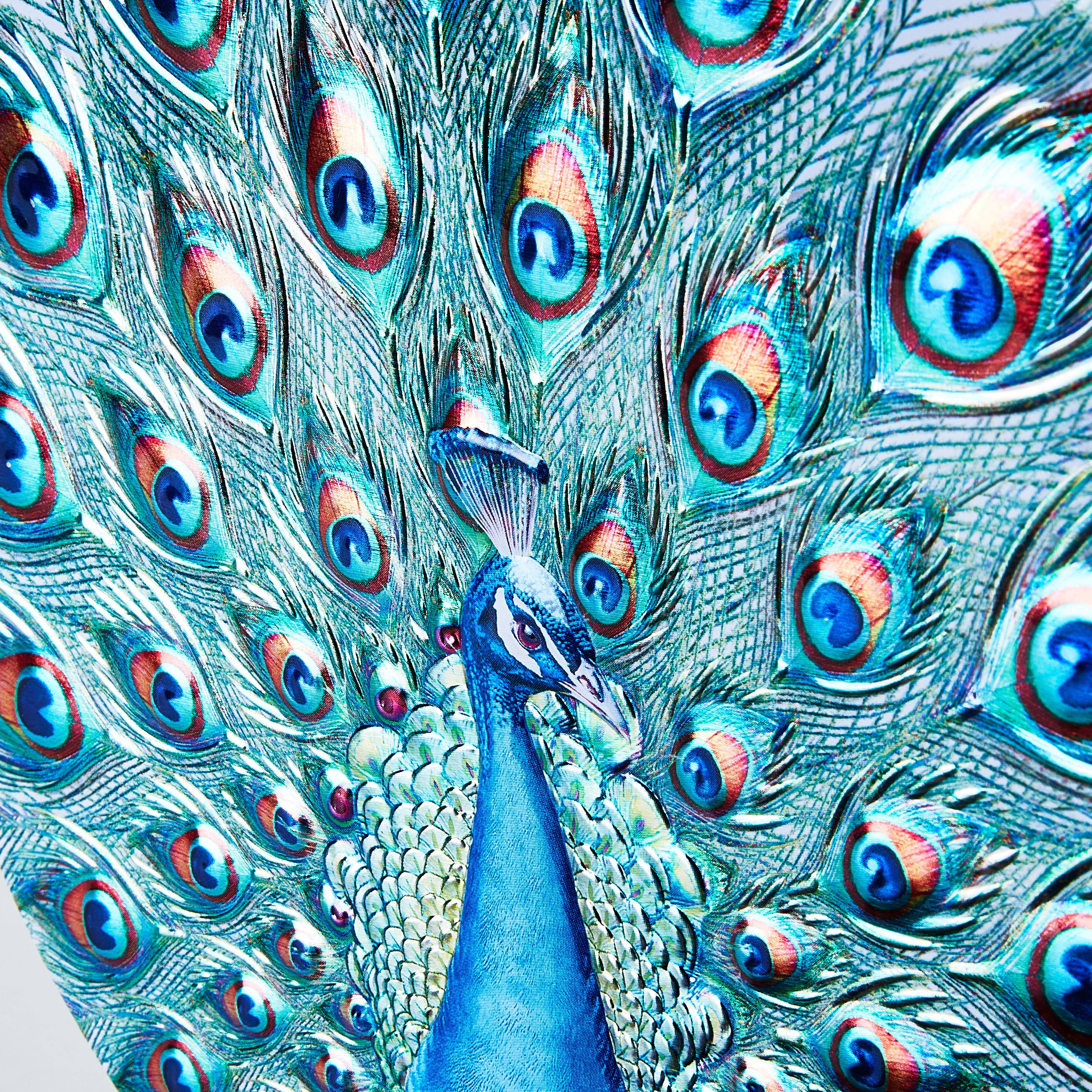 Churchill's Confectionery – wholesale Biscuit – Royal Peacock Gift Tin with Shortbread Petticoat Tail 3