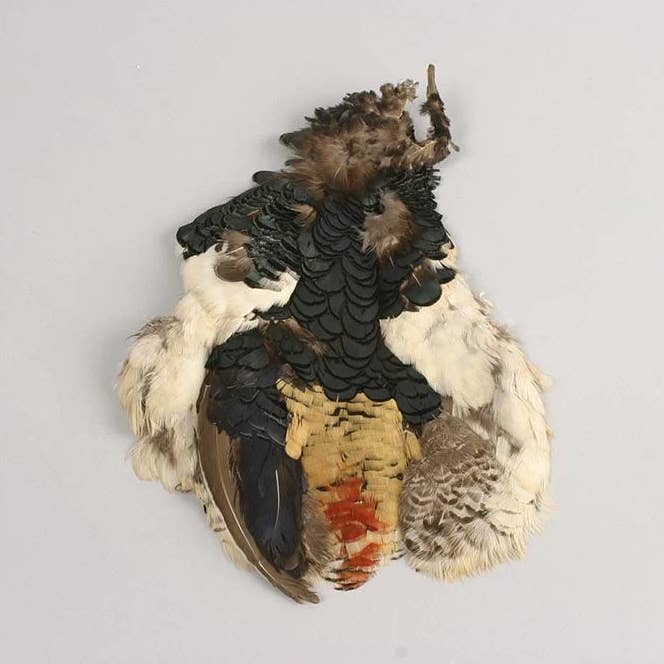 Piel de faisán Lady Amherst #2 - Natural-NOC para venta al por mayor de Zucker Feather Products