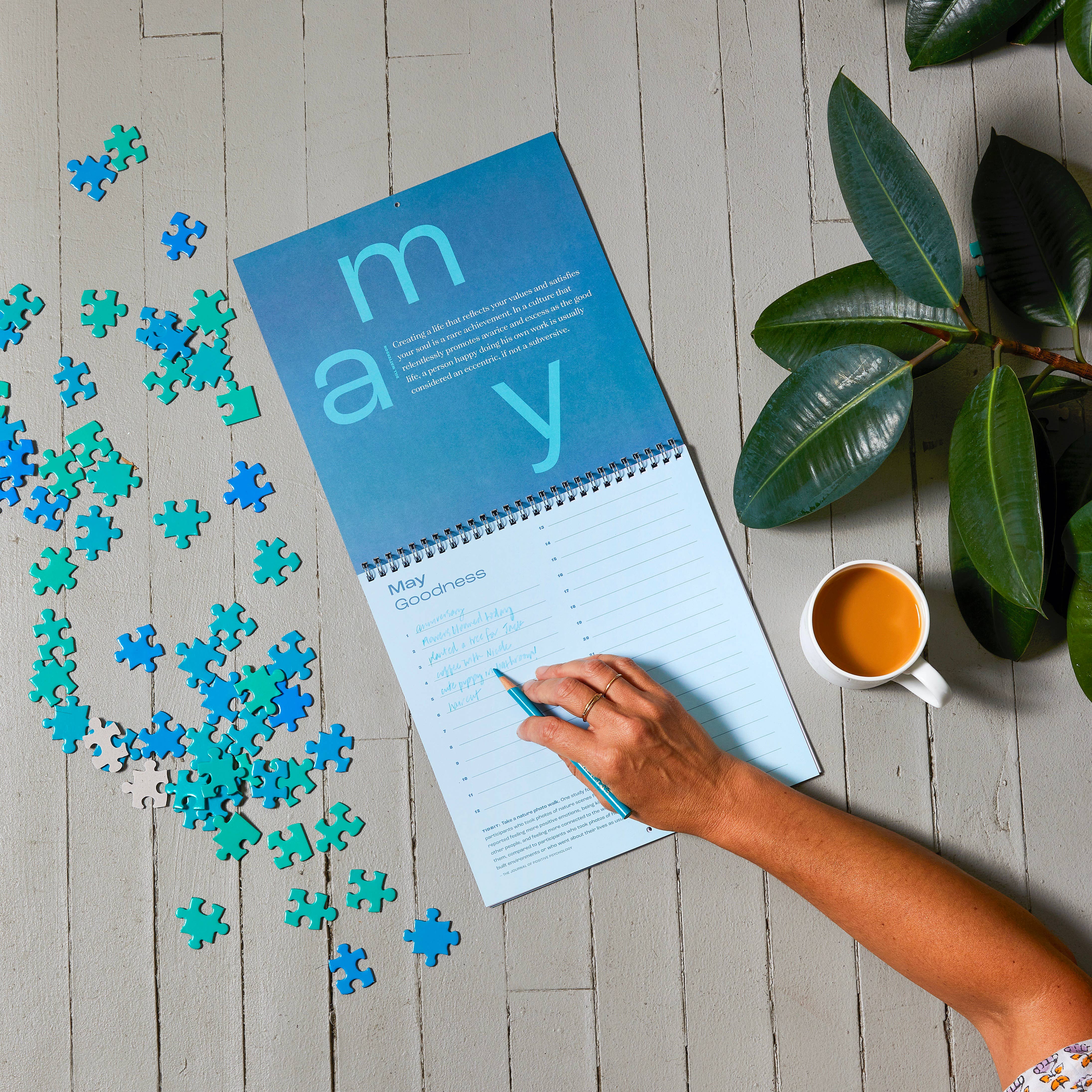 Free Period Press – wholesale Calendar – Calendar of Good: A Gratitude Calendar6