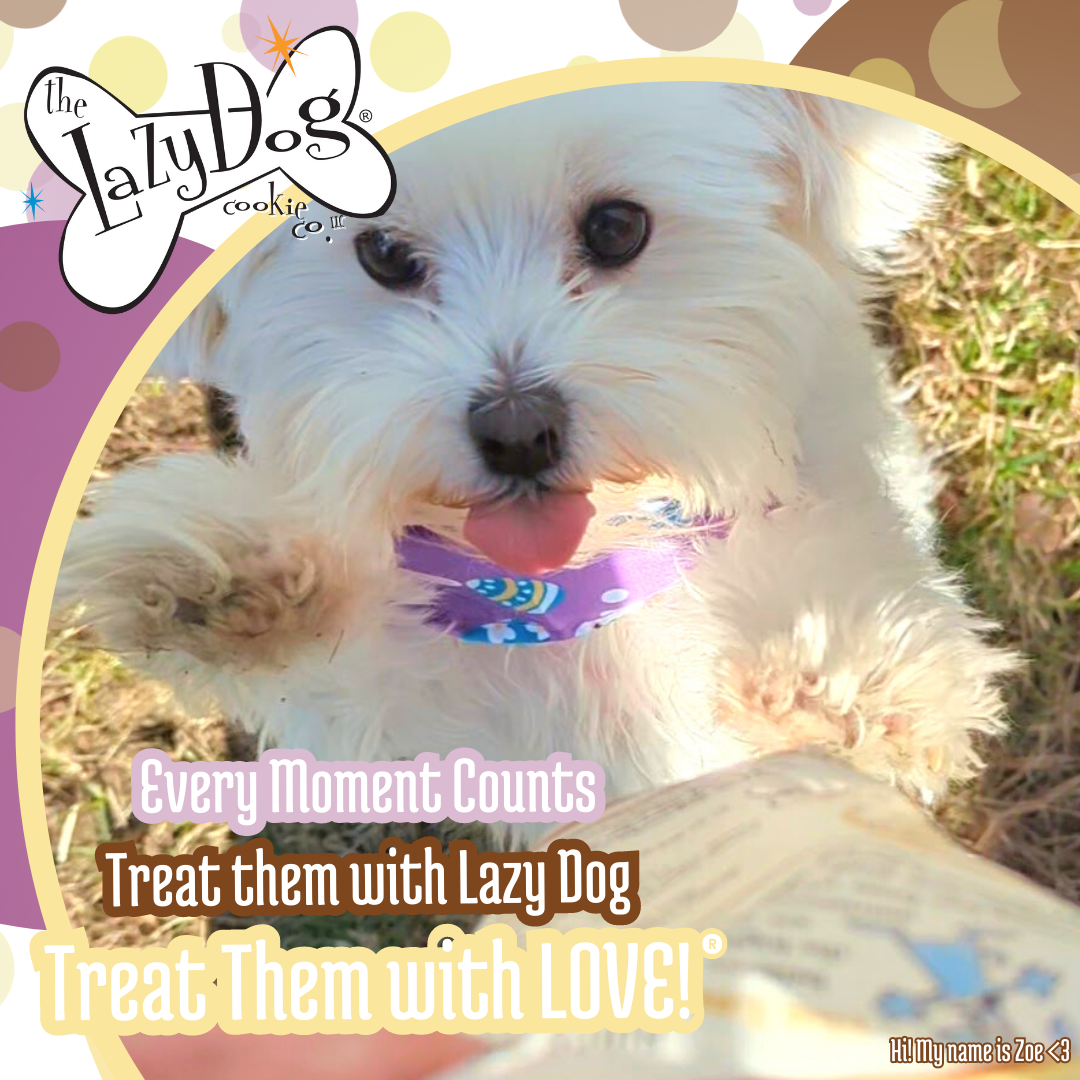 The Lazy Dog Cookie Co., Inc. - Wholesale Pet Treats - Dog - Banana Buddies4