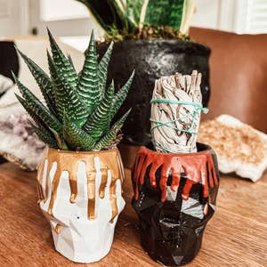 Purchase Wholesale skull planter. Free Returns & Net 60 Terms on Purchase Wholesale skull planter. Free Returns & Net 60 Terms on