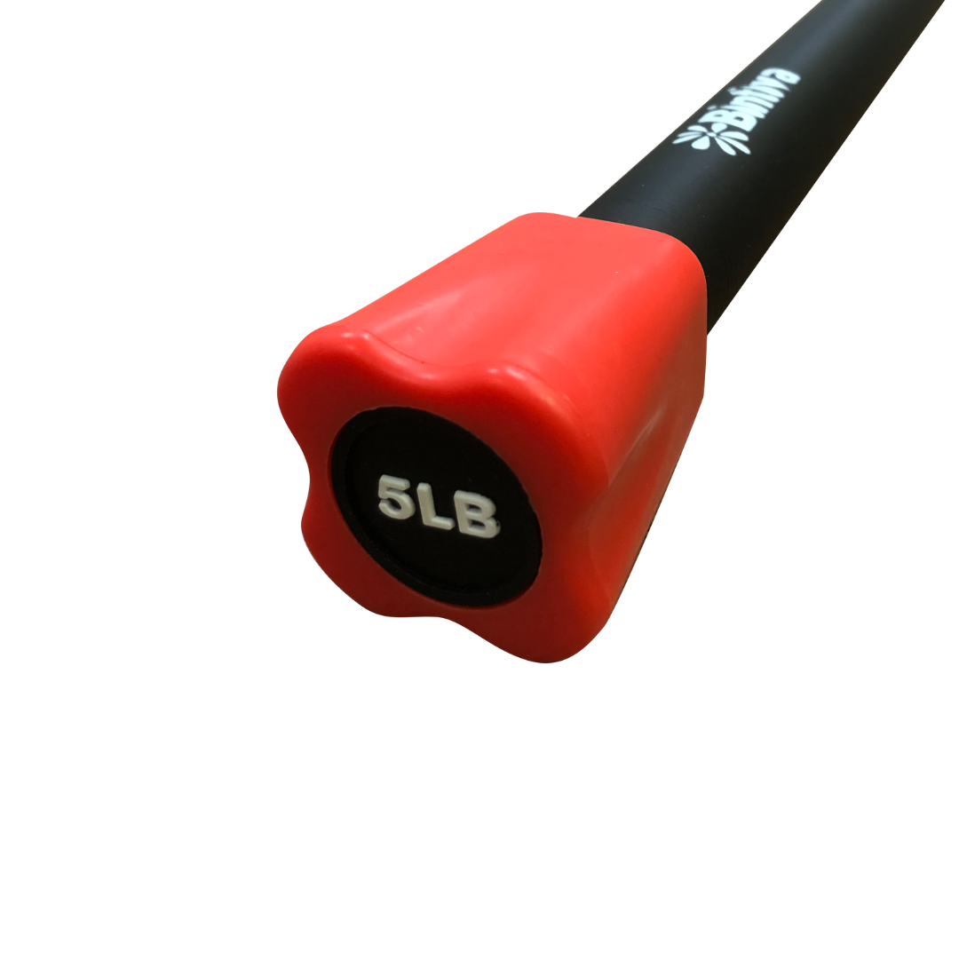 Bintiva - Wholesale Fitness Equipment - Bintiva Weighted Fitness Bars0