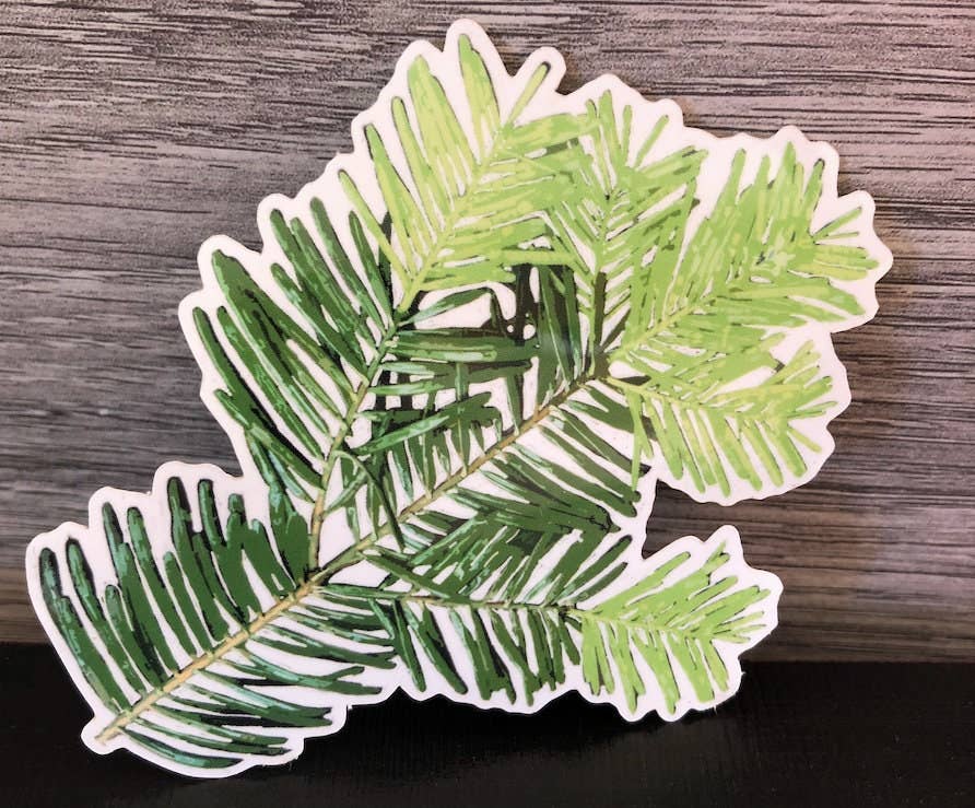 Stick Outside - Wholesale Sticker - Oregon Grand Fir Sticker4
