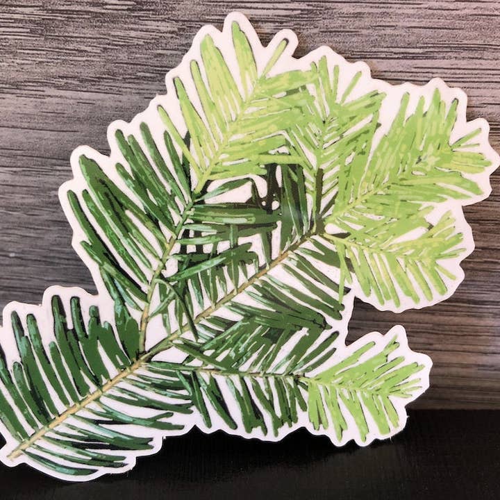 Stick Outside - Wholesale Sticker - Oregon Grand Fir Sticker4
