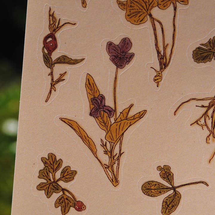 Tulips and Heather – wholesale Sticker – Sticker Sheet "Dried Flowers" for journals and planners8