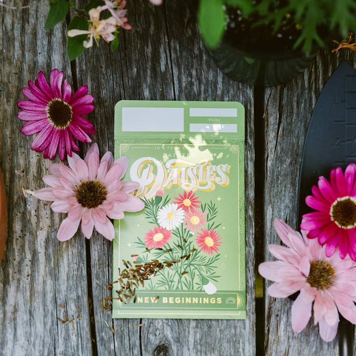 To & From Gift Co. - Wholesale Plant Seeds - Painted Daisies (New Beginnings) - Floriography Seed Packet