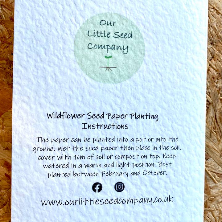 Our Little Seed Company – wholesale Everyday greeting card – Nature Inspired - Blue Meadow 9011