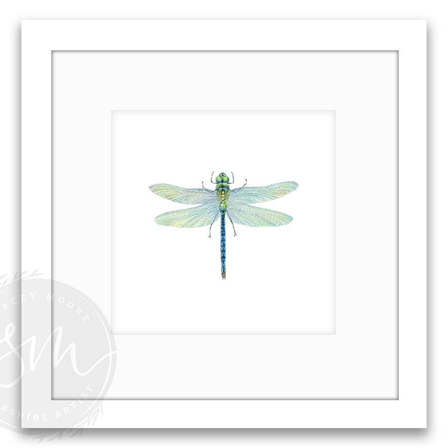 Stacey Moore Ltd - Wholesale Art Print - Dragonfly3