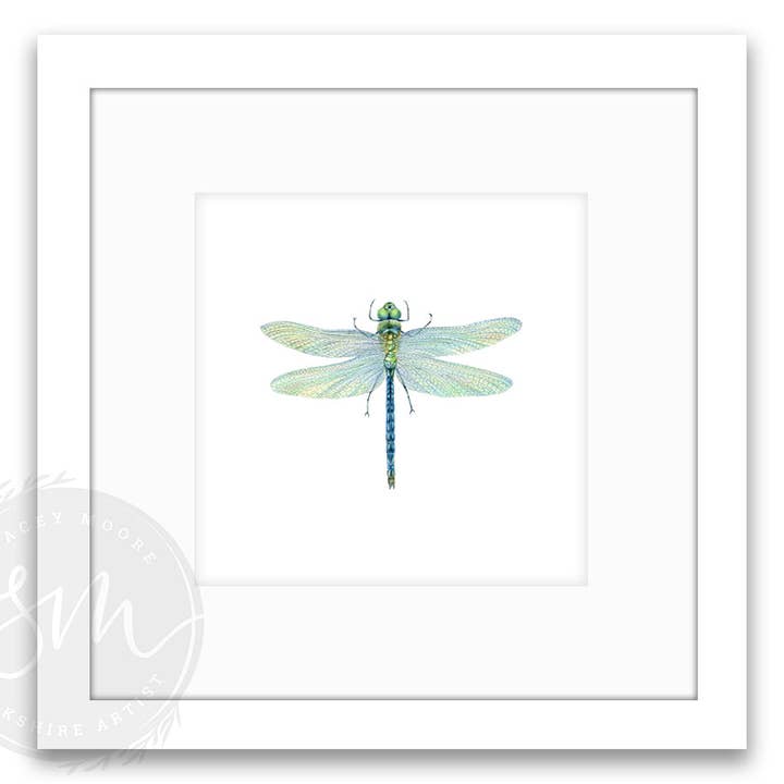 Stacey Moore Ltd - Wholesale Art Print - Dragonfly3