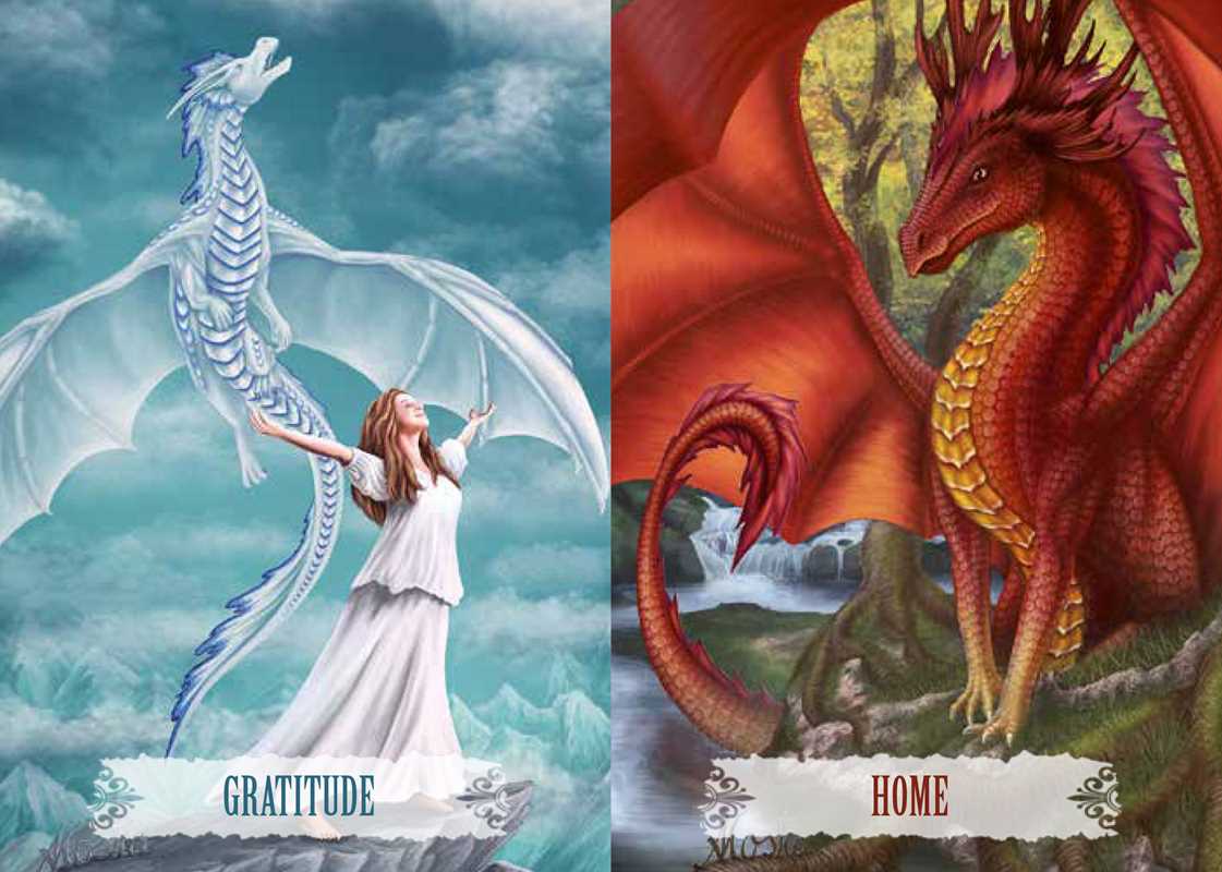 Simon & Schuster - Wholesale Philosophy - Dragon Wisdom by Christine Arana Fader6