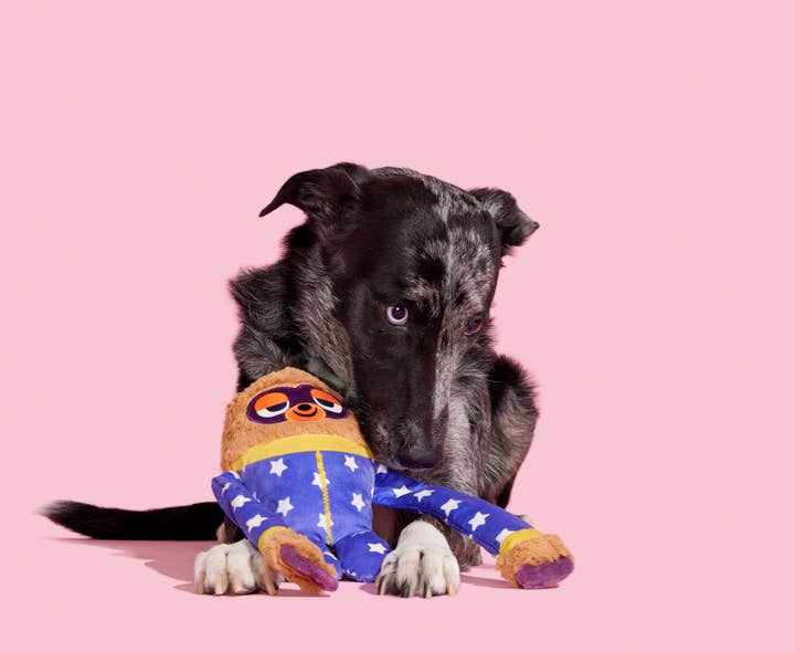 Pet Palette Distribution - Wholesale Pet Plush Toy - Dog - BARK Slow Jams Dan Plush Dog Toy