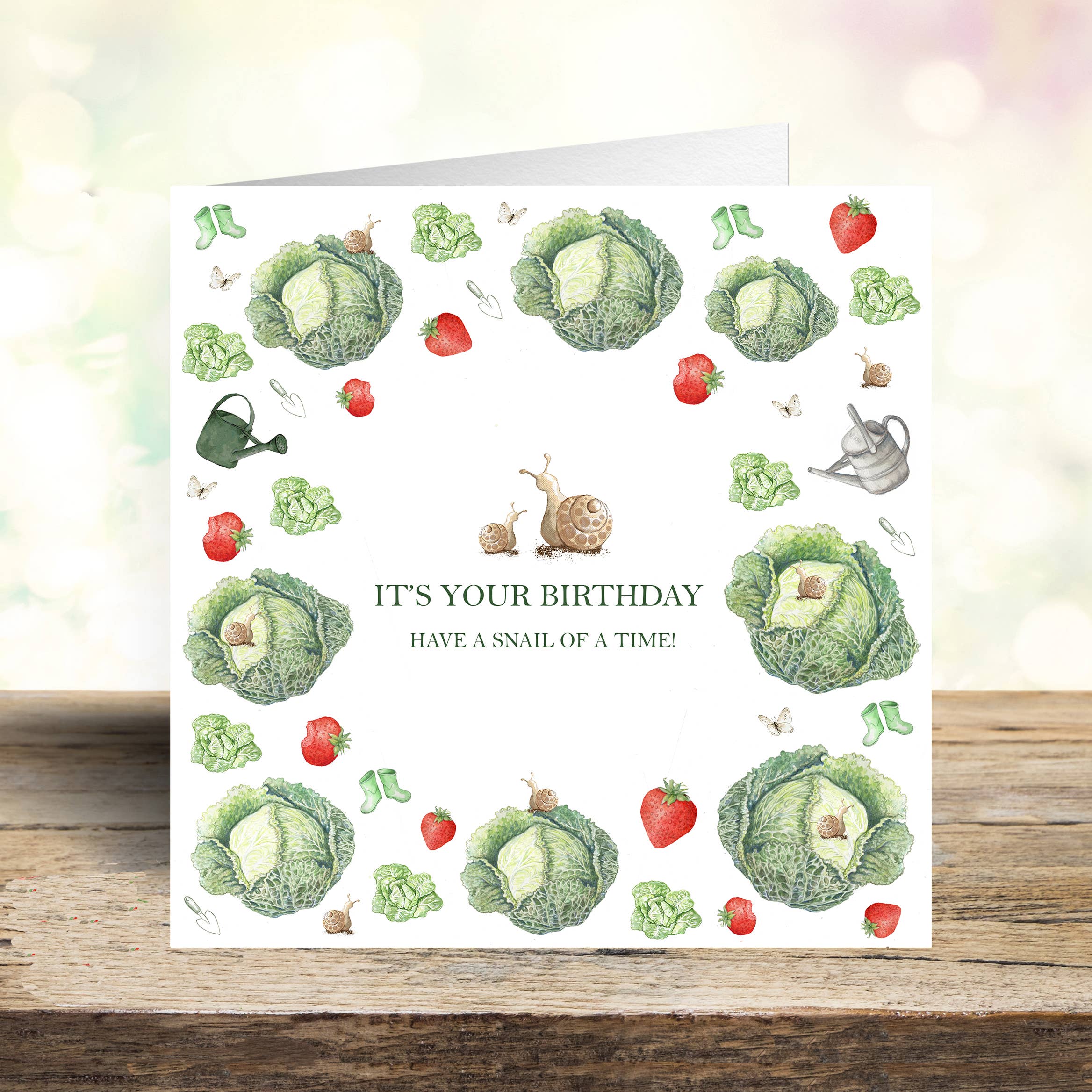 West Country Designs - Wholesale Birthday Card - Garden Snail Design Birthday Card
