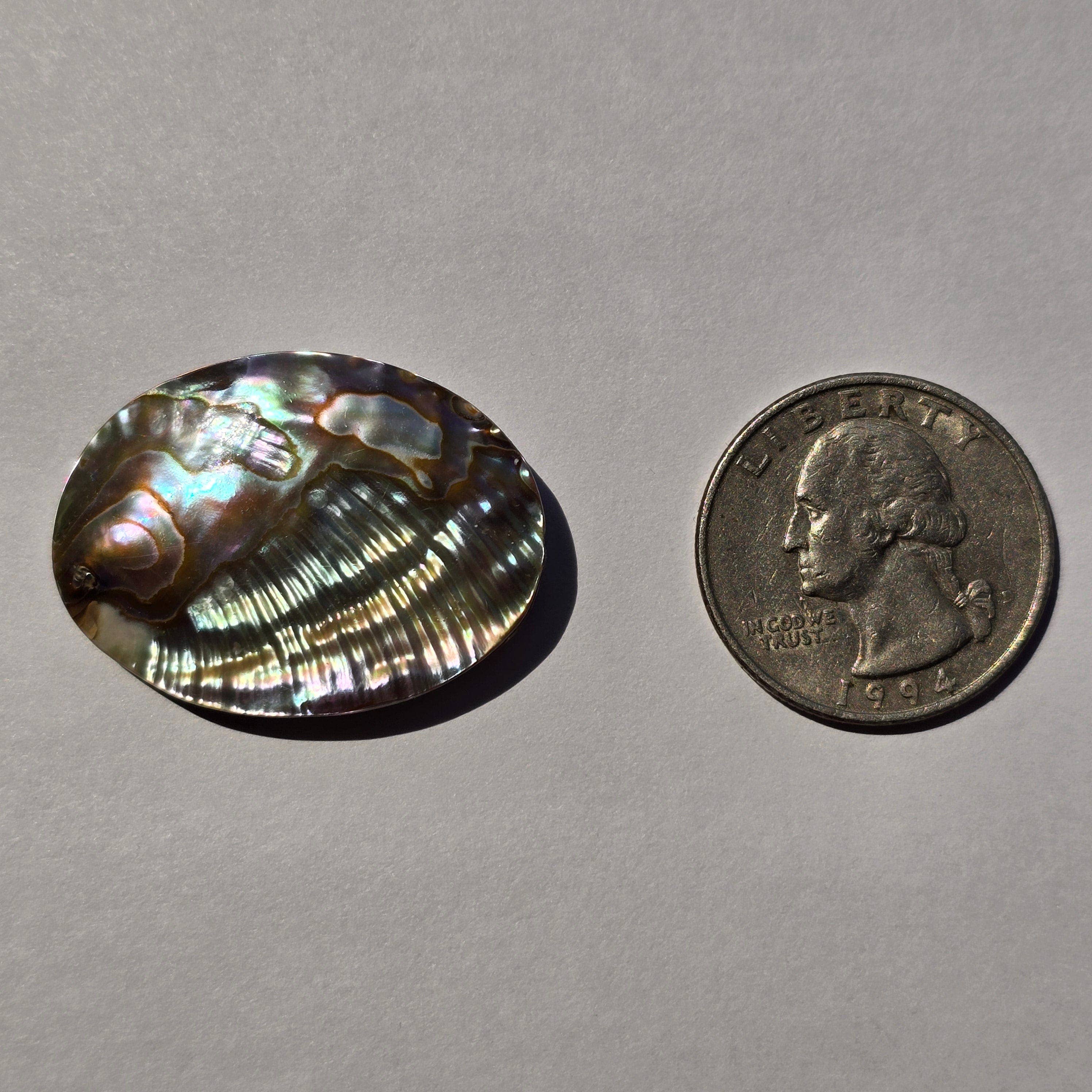 Rock Paradise - Wholesale Beads - Abalone Shell Oval Bead - Side Drilled4