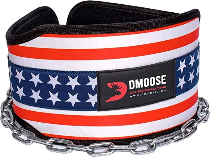 DMOOSE - Wholesale Fitness Equipment - DMoose Dip Belt for Weightlifting, Weight Belt with Chain9