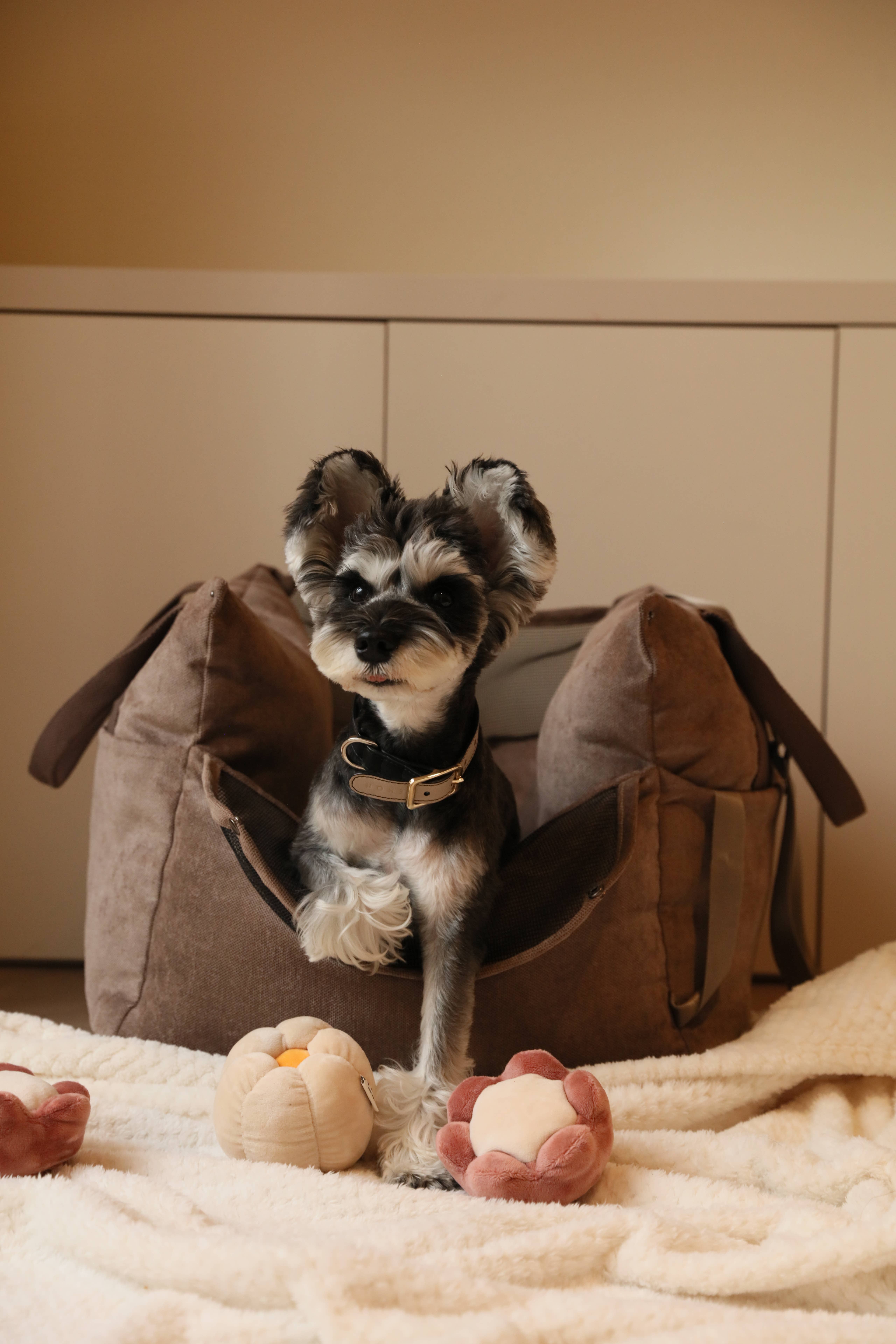 PEHOM - Wholesale Pet Carrier - Dog - Puff Guard Dog Car Seat - Camel2