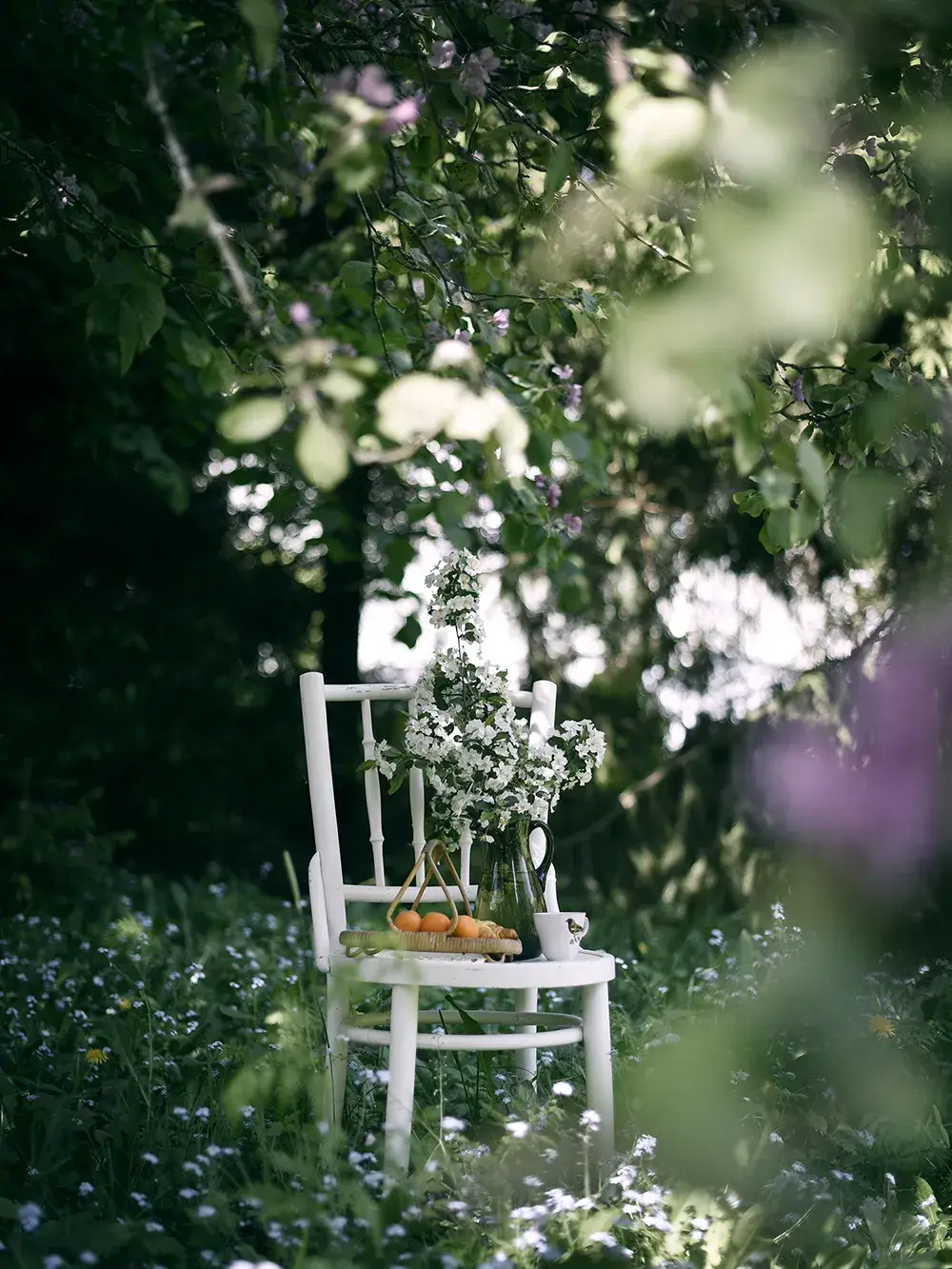 Cozy Publishing - Wholesale Cookbooks and food - From Oven To Table - The Art of Sheet Pan Recipes8