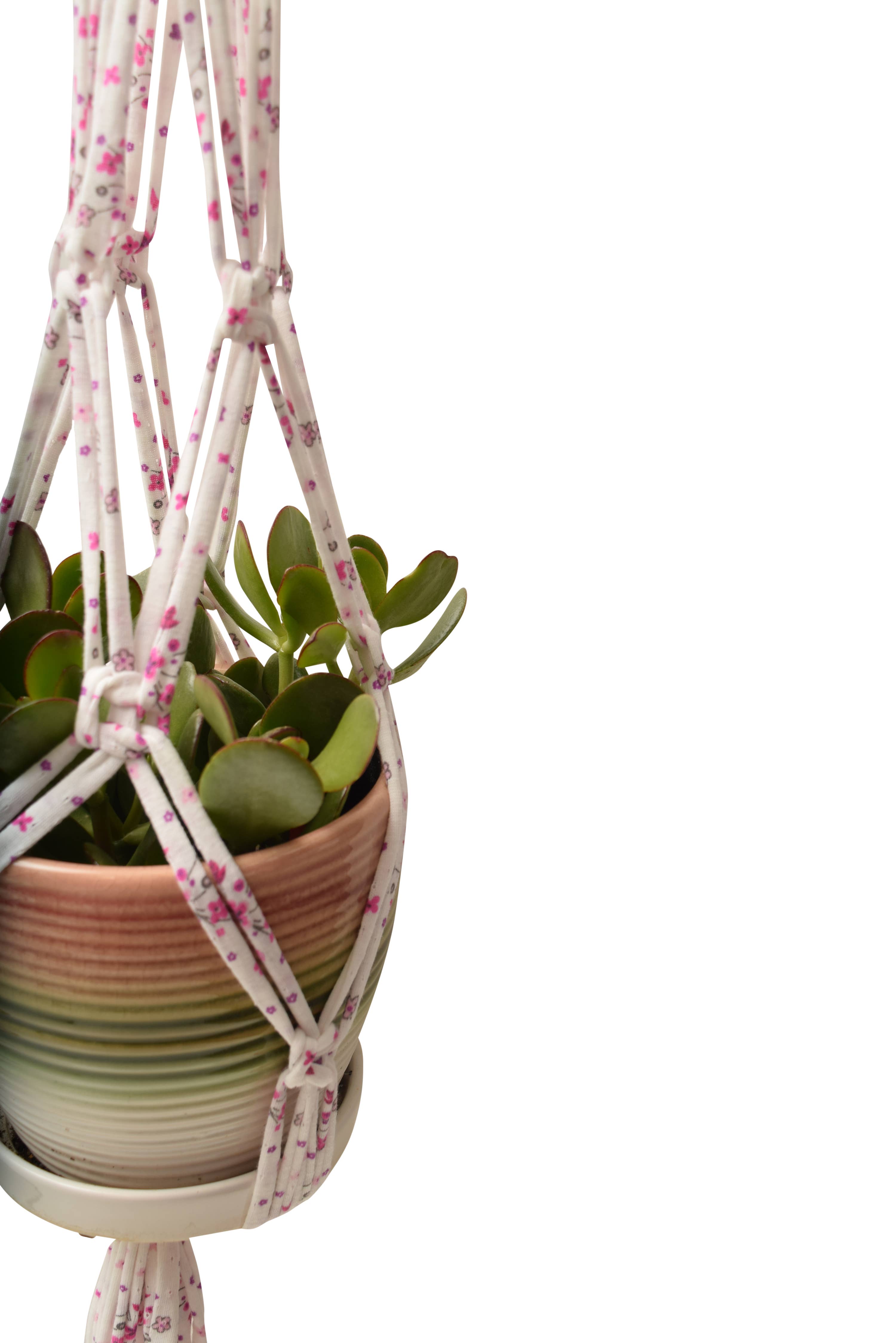 Shreds + rerope - Wholesale DIY Craft Kit - Eco DIY Macrame Plant Hanger Kit12