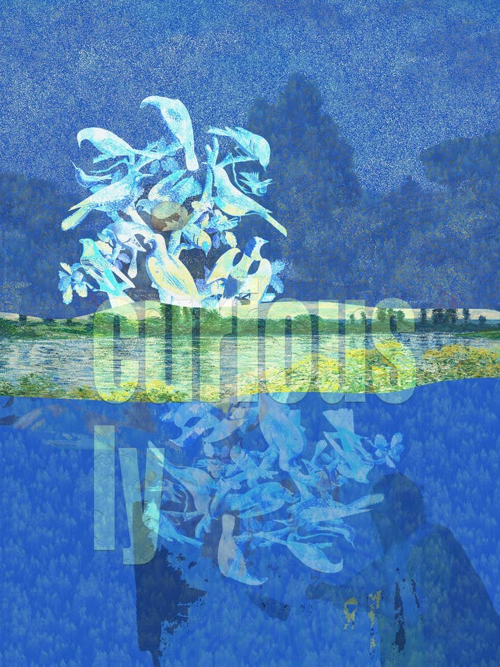 Neugierigerweise, eine Grußkarte (5x7 Zoll) für den Großhandel von VivaTheCircle