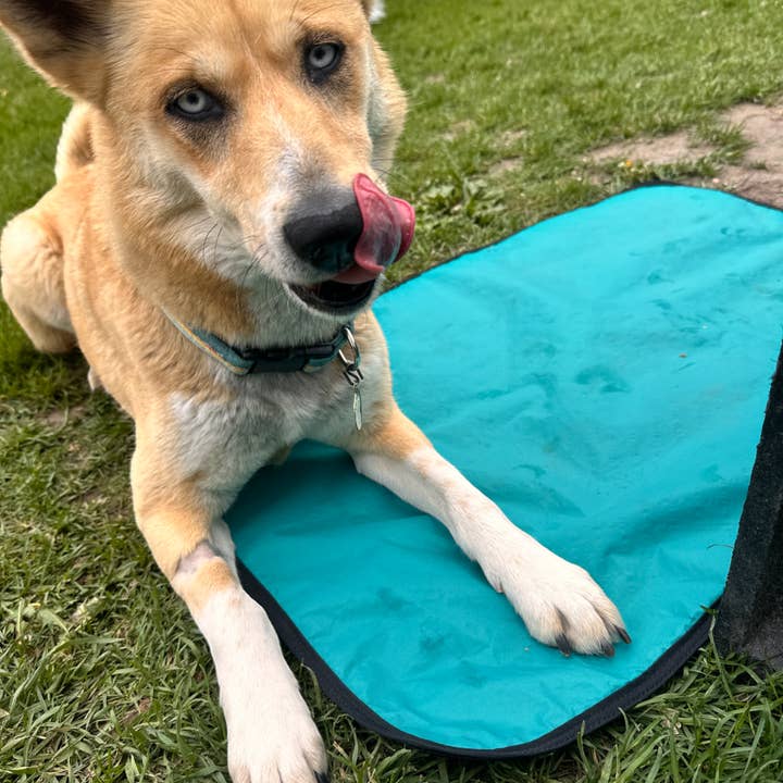 LUWELLO, LLC - Wholesale Pet Bed - Dog - Portable Dog Settle Mat8