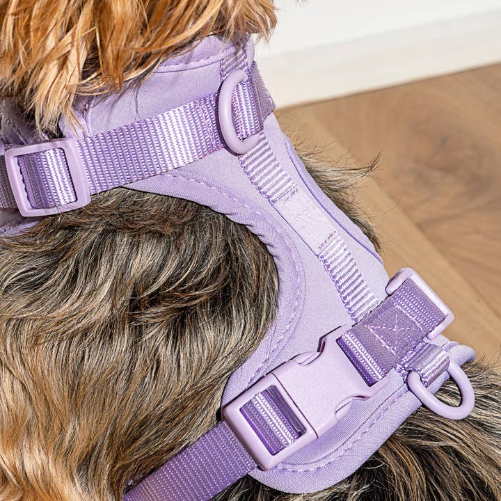 Wild One - Wholesale Pet Harness - Dog - Harness30