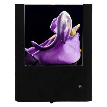 Purple Sweet Pea Flower for wholesale by Nightlight Studio