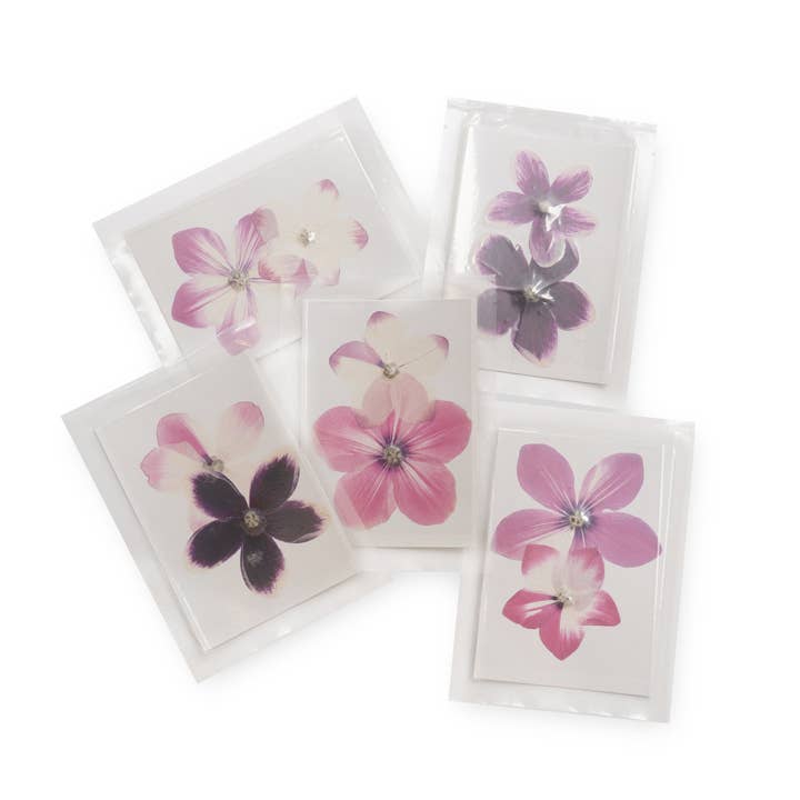 Pressed Persian Collection- Assorted Set Of 12 for wholesale by Sugarboo & Co