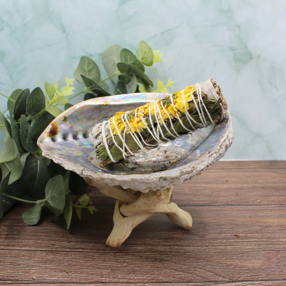 Green Tree - Wholesale Sage Bundle - Sunflower Sage 10cm2