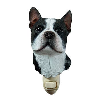 Veilleuse Boston Terrier pour la vente par Natures Window